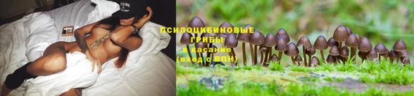 МДМА Алзамай