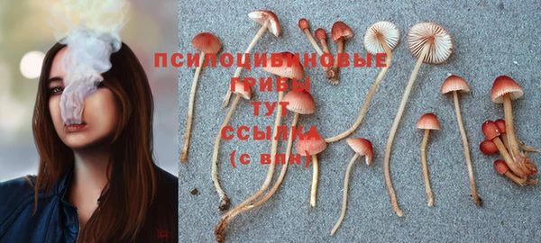 мяу мяу мука Алексеевка