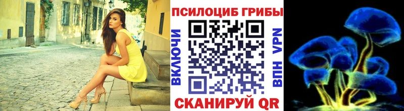 купить наркоту  Ивангород  Галлюциногенные грибы прущие грибы 